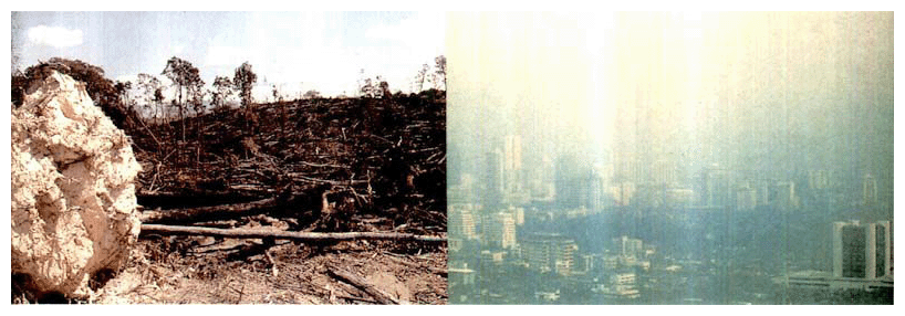 熱帯林の破壊（提供：WWF）　バンコクの大気汚染（提供：UNEP）