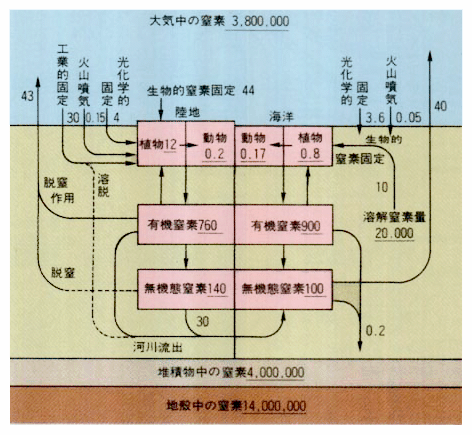 地球を巡る窒素の存在量とフロー量