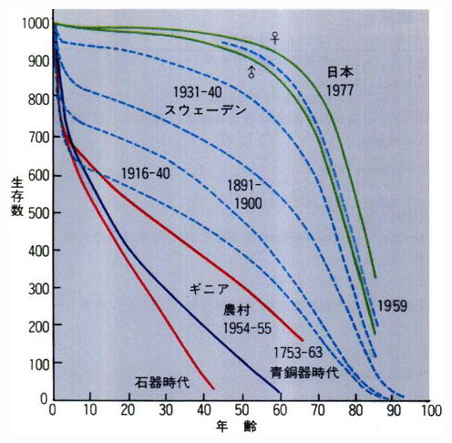 生存曲線出生者1,000人あたりの生存者数