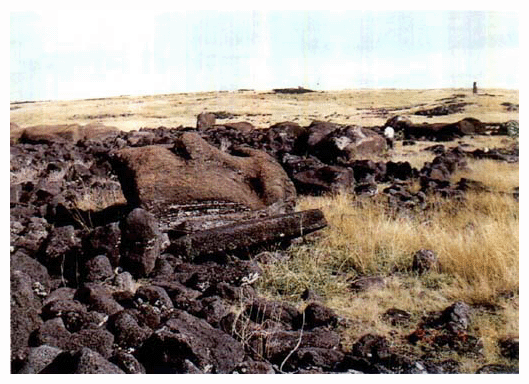 イースター島の現況（1992年）