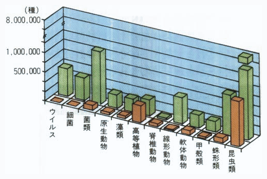 主要分類群ごとの確認されている種数と推定される種数