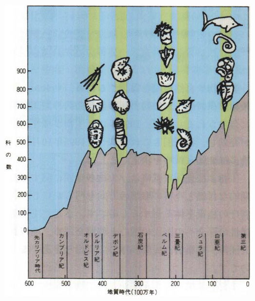 大規模な絶滅と影響を受けた動物