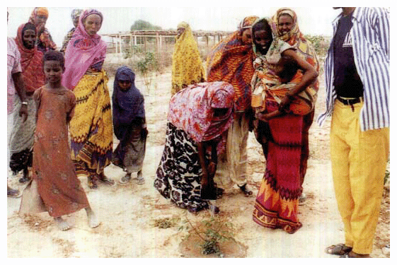 ソマリアで住民と共同で行われた植林活動