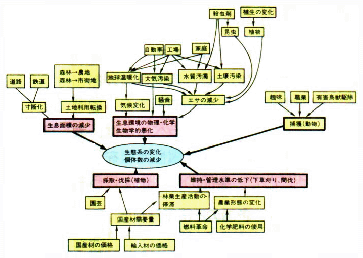 人間活動における生態系との関わり（個体数の減少）