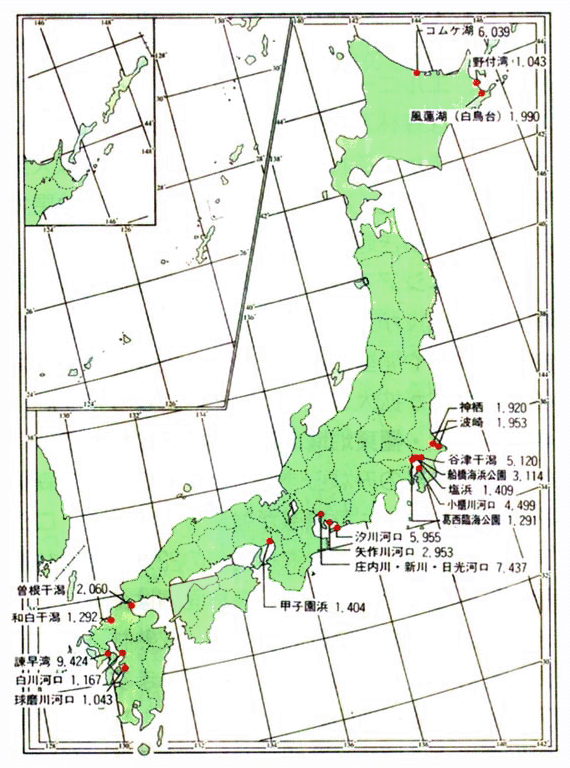 昭和63～平成8年度の定点調査における1000羽以上の地域別最大確認数（シギ・チドリ類）