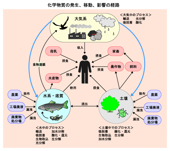 化学物質の発生、移動、影響の経路