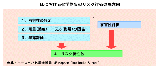 EUにおける化学物質のリスク評価の概念図