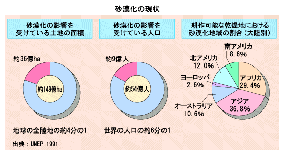 砂漠化の現状