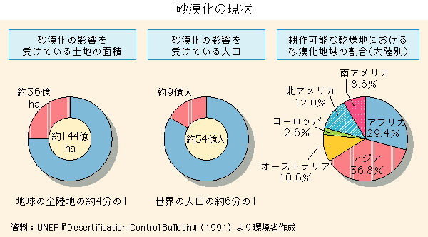 グラフ　砂漠化の現状