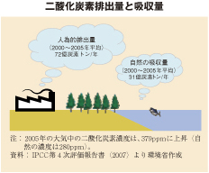 二酸化炭素排出量と吸収量