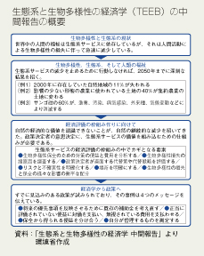 生態系と生物多様性の経済学（TEEB）の中間報告の概要