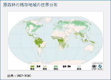 原森林の残存地域の世界分布