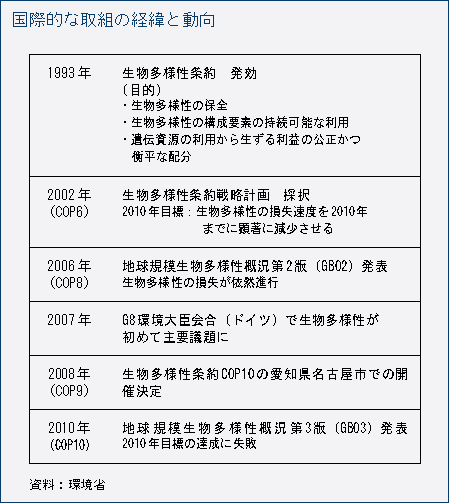 国際的な取組の経緯と動向