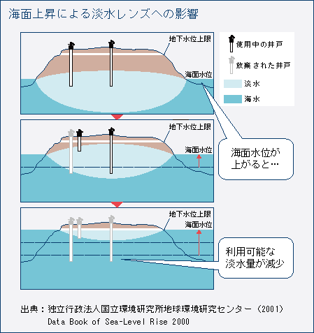 海面上昇による淡水レンズへの影響