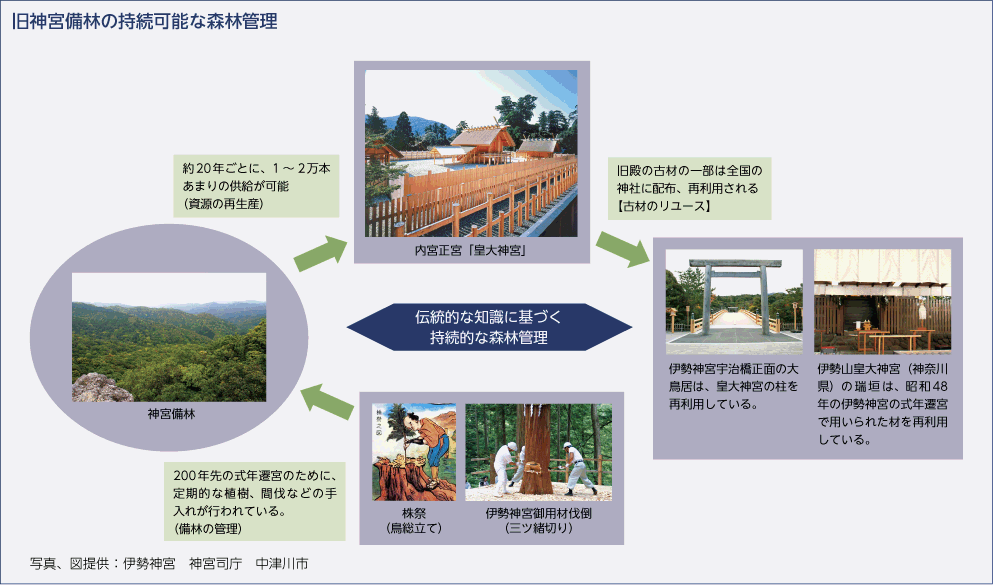 旧神宮備林の持続可能な森林管理