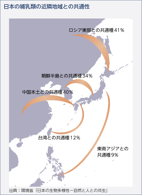 日本の哺乳類の近隣地域との共通性