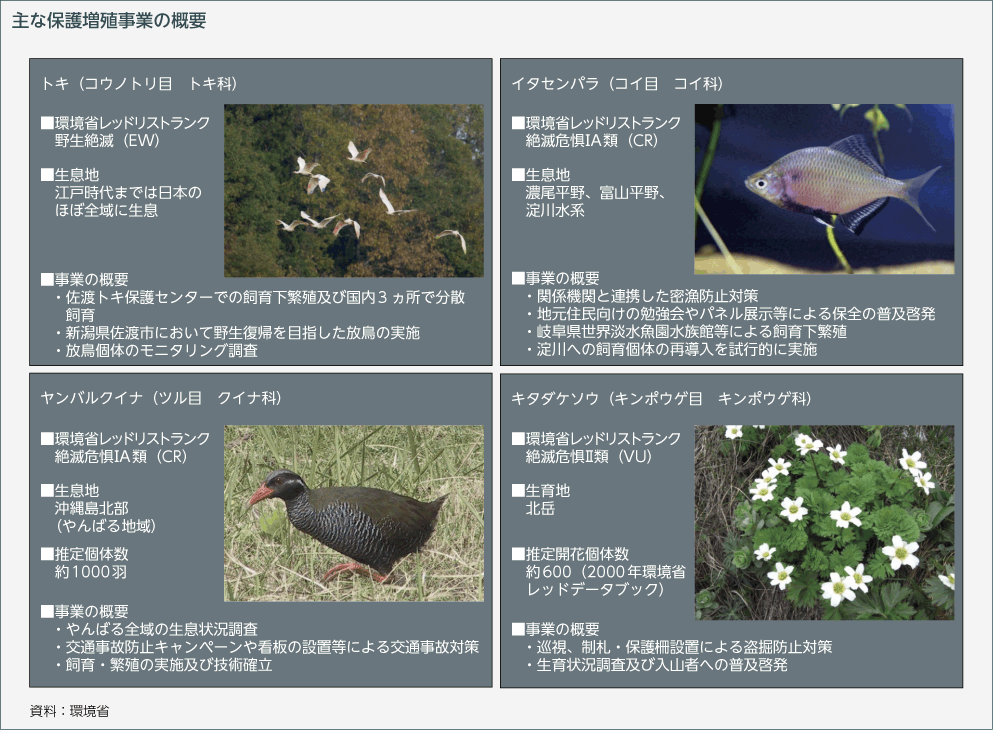 主な保護増殖事業の概要