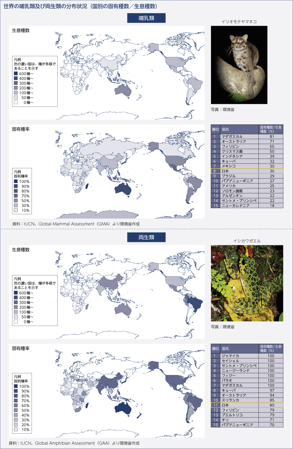 世界の哺乳類及び両生類の分布状況（国別の固有種数／生息種数）