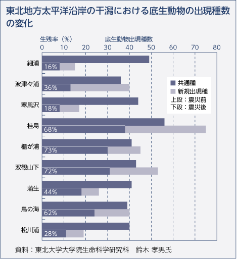 東北地方太平洋沿岸の干潟における底生動物の出現種数の変化