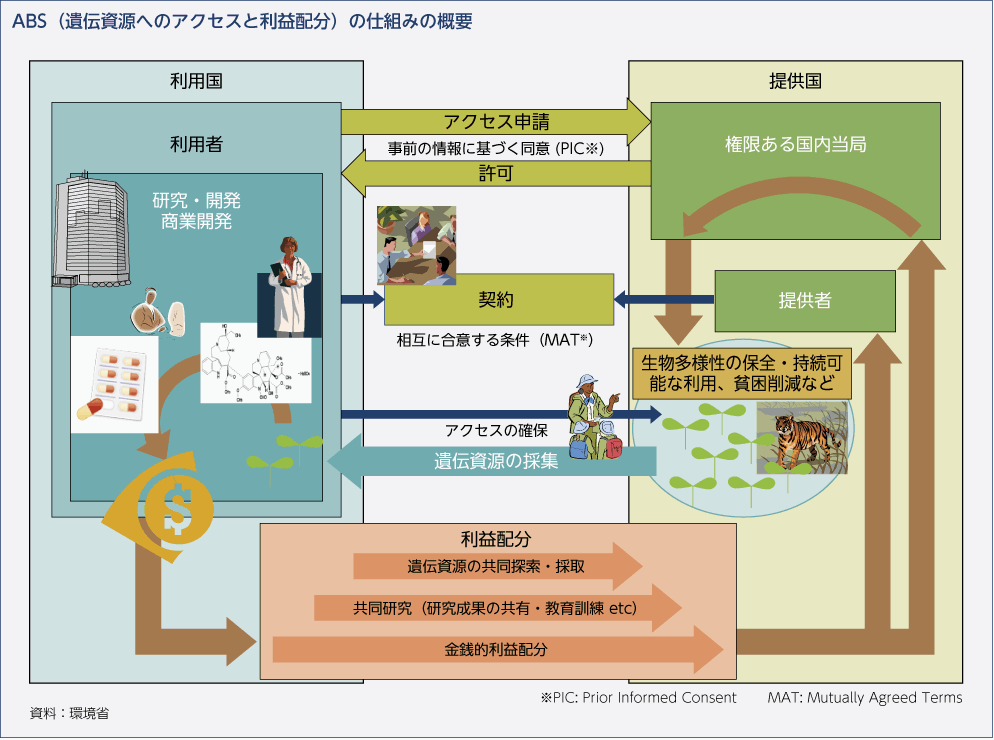 ABS（遺伝資源へのアクセスと利益配分）の仕組みの概要