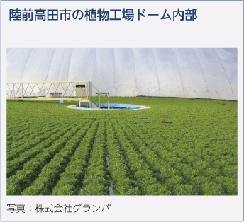 陸前高田市の植物工場ドーム内部