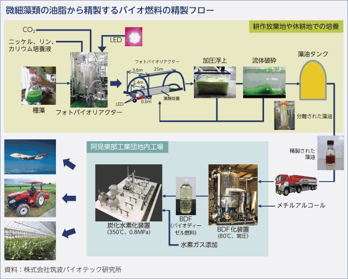 微細藻類の油脂から精製するバイオ燃料の精製フロー