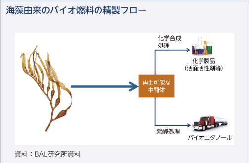 海藻由来のバイオ燃料の精製フロー