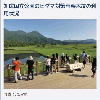 知床国立公園のヒグマ対策高架木道の利用状況