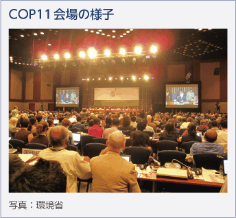 COP11会場の様子