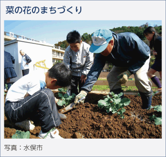 菜の花のまちづくり