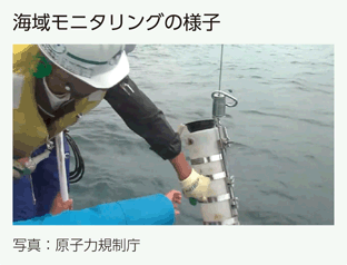 海域モニタリングの様子