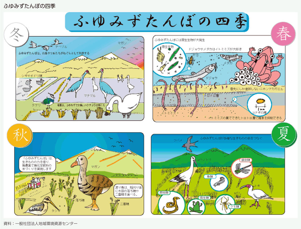 ふゆみずたんぼの四季