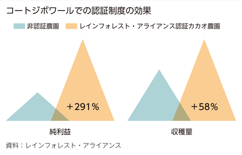 コートジボワールでの認証制度の効果