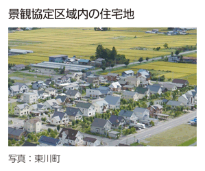 景観協定区域内の住宅地