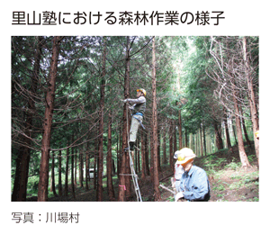 里山塾における森林作業の様子