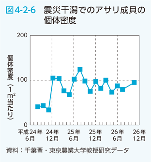 図4-2-6　震災干潟でのアサリ成貝の個体密度