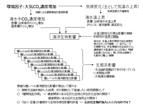 A-0804 海洋酸性化が石灰化生物に与える影響の実験的研究