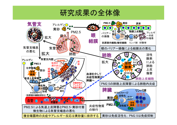 複合汚染