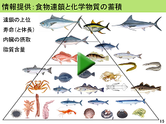 魚介類の食べ方