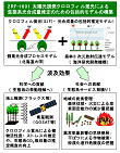 研究イメージ