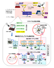 研究イメージ