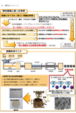 研究イメージ