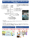 研究イメージ