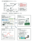 研究イメージ