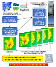 研究イメージ