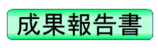 終了成果報告書