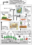 研究のイメージ