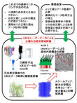 研究のイメージ