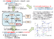 研究のイメージ