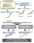 研究のイメージ